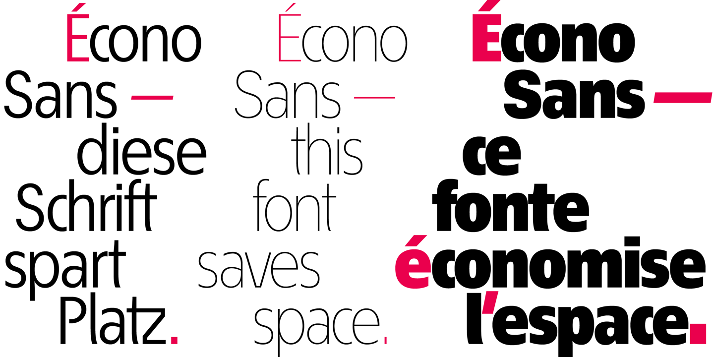 Example font EconoSans Pro #13